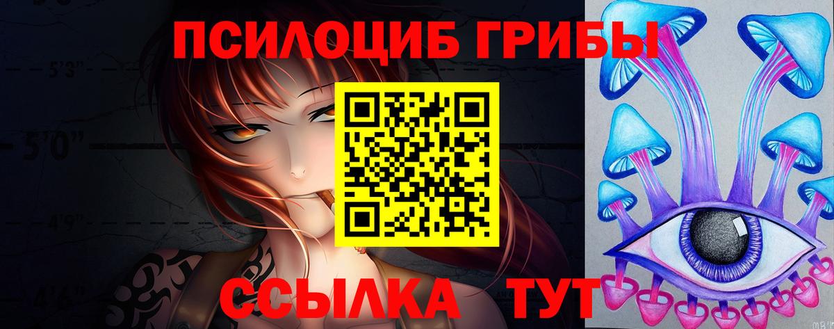 Галлюциногенные грибы Psilocybe  Вход с VPN  Алексин 